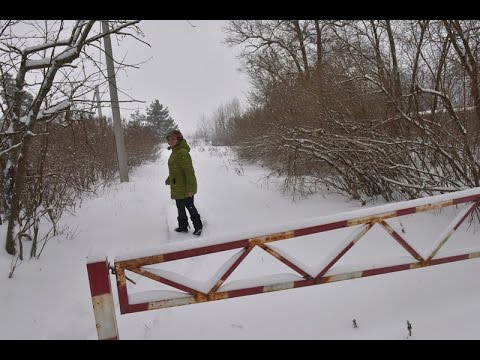 Подмосковные сказки Роу, или как режиссер в области «Морозко» снимал