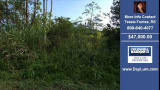Land For Sale Puna HI Real Estate on 1.00 Acres-Acres $47000.00 Puna HI Tessie Fontes RS