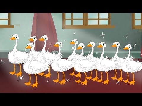 Les Cygnes Sauvages Dessin Animé En Français Conte Pour Enfants Avec Les P Tits Z Amis 