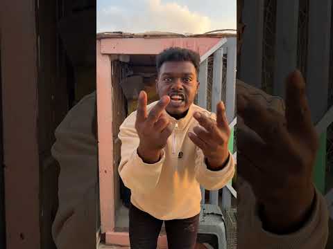 هكسر القفص وهركب باب الغيه 