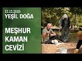 Kırşehir Kaman'ın meşhur cevizi, ceviz hasadı ve festivali - Yeşil Doğa 22.12.2019 Pazar