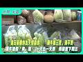 端午節氣象與菜價