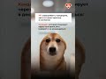 Было у вас такое в практике, когда сотрудники уходили в декрет после полугода работы?