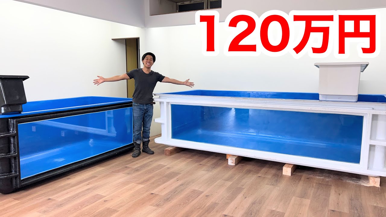 I spent 1.2 million yen and bought a huge aquarium at the Reptile