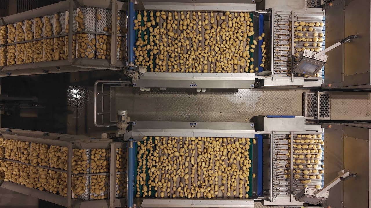 Wyma Case Study | Patatas Meléndez | Inside the World’s Most Advanced Potato Facility