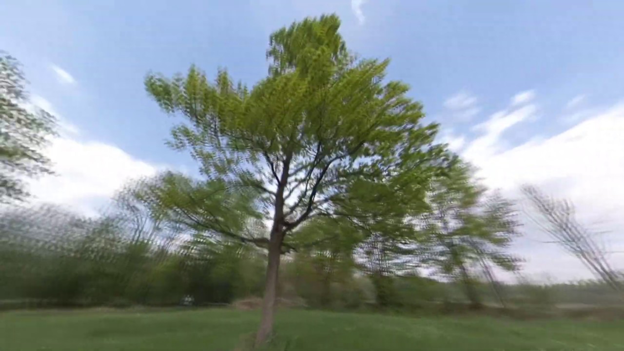 Testing the freeCapture mode of Insta360 Studio 2019