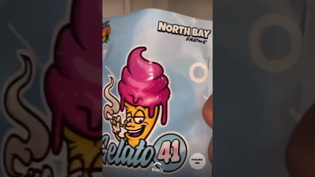 NORTH BAY FARMS (GELATO 41) TOP SHELF CANNABIS FLOWER 