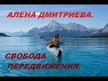 . Свобода передвижения - качество жизни. Алена Дмитриева