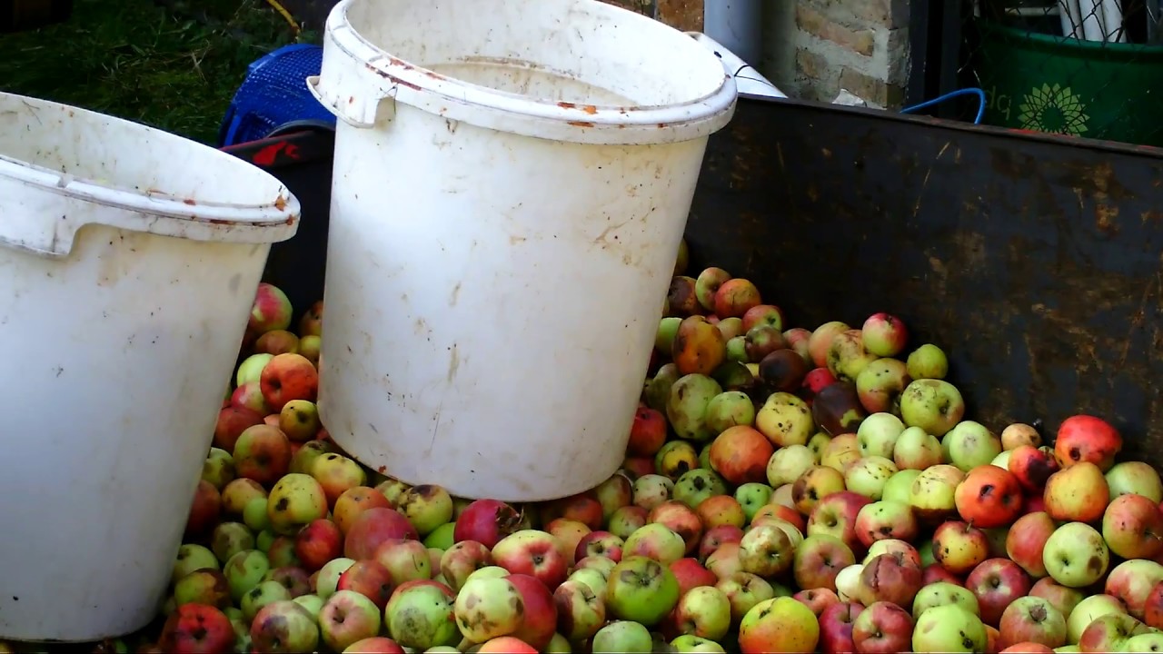 operation pommes / cidre 2017 moteur rustic