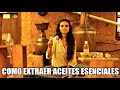 Como extraer ACEITES ESENCIALES. LA MEJOR FORMA. Orgánicos y artesanales.