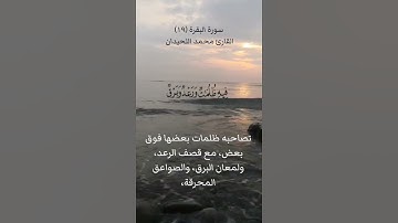 سورة البقرة (١٩)القارئ محمد اللحيدان ١٤ فبراير ٢٠٢٤