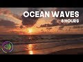 Ocean Waves with Seagulls Nature Beach Sounds for Sleep and Study | 8 Hours