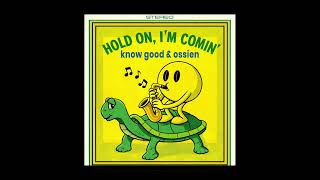 Sam & Dave - Hold on, I'm Comin' (Know Good, Ossien Flip )
