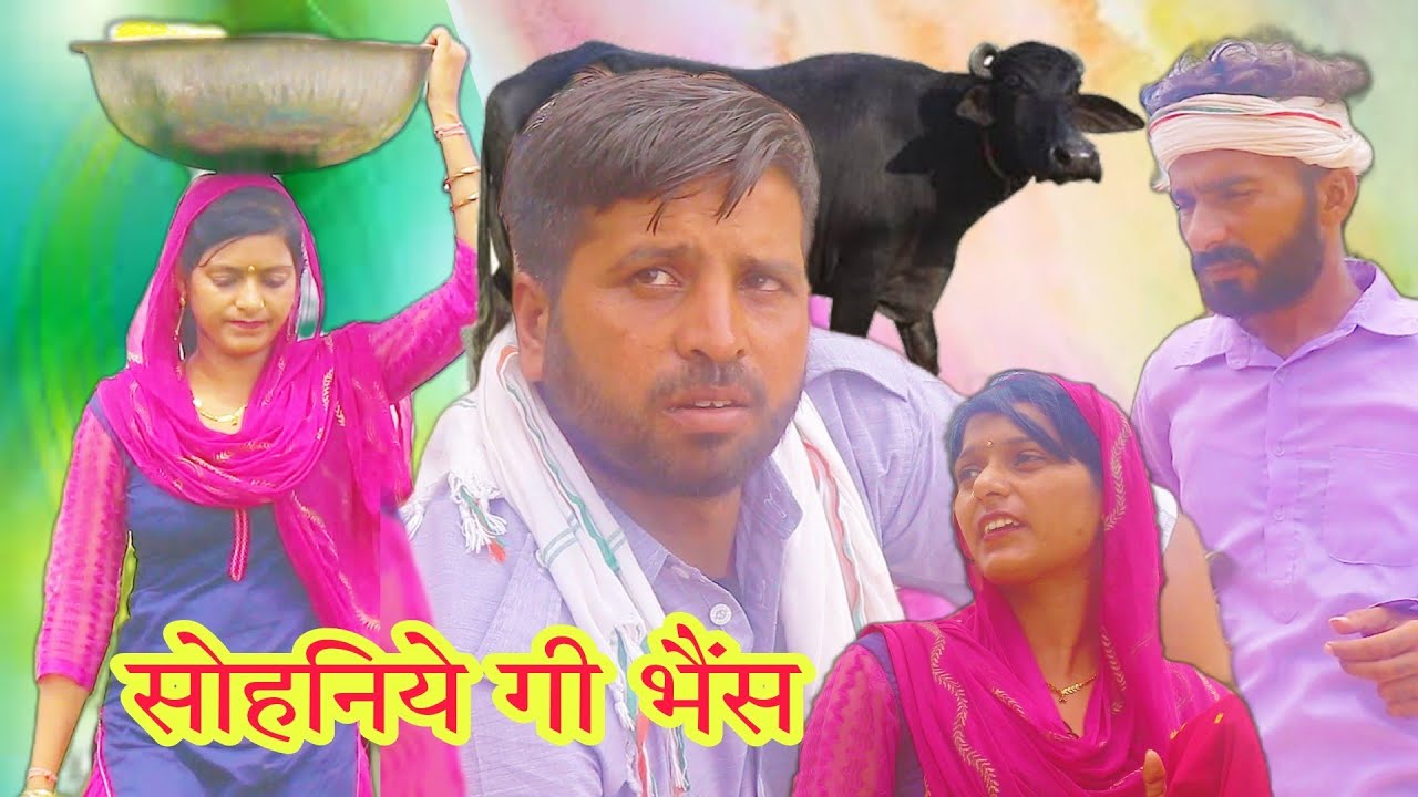 सोहनीय गि भैंस|sonu verma comedy|Hariyanvi rajsthany comedy
