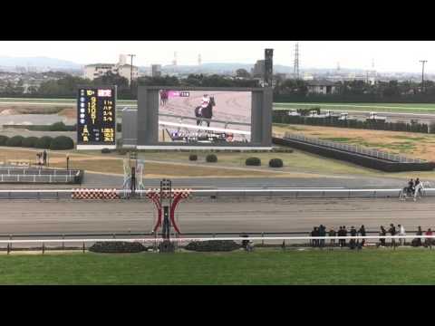 【現地映像】2015年チャンピオンズカップ本馬場入場