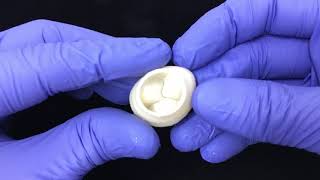 3D Printed Heart Valve from FluidForm Bio