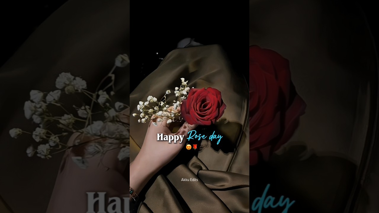 Happy rose day status 🌹 | Rose day status 2026 💗 | Rose day special status  