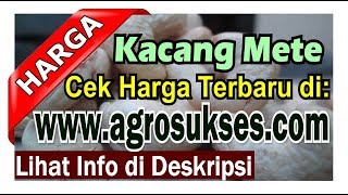 |Update 2024| Harga Kacang Mete RP, Pusat Informasi Terbaru, Penjual Pembeli