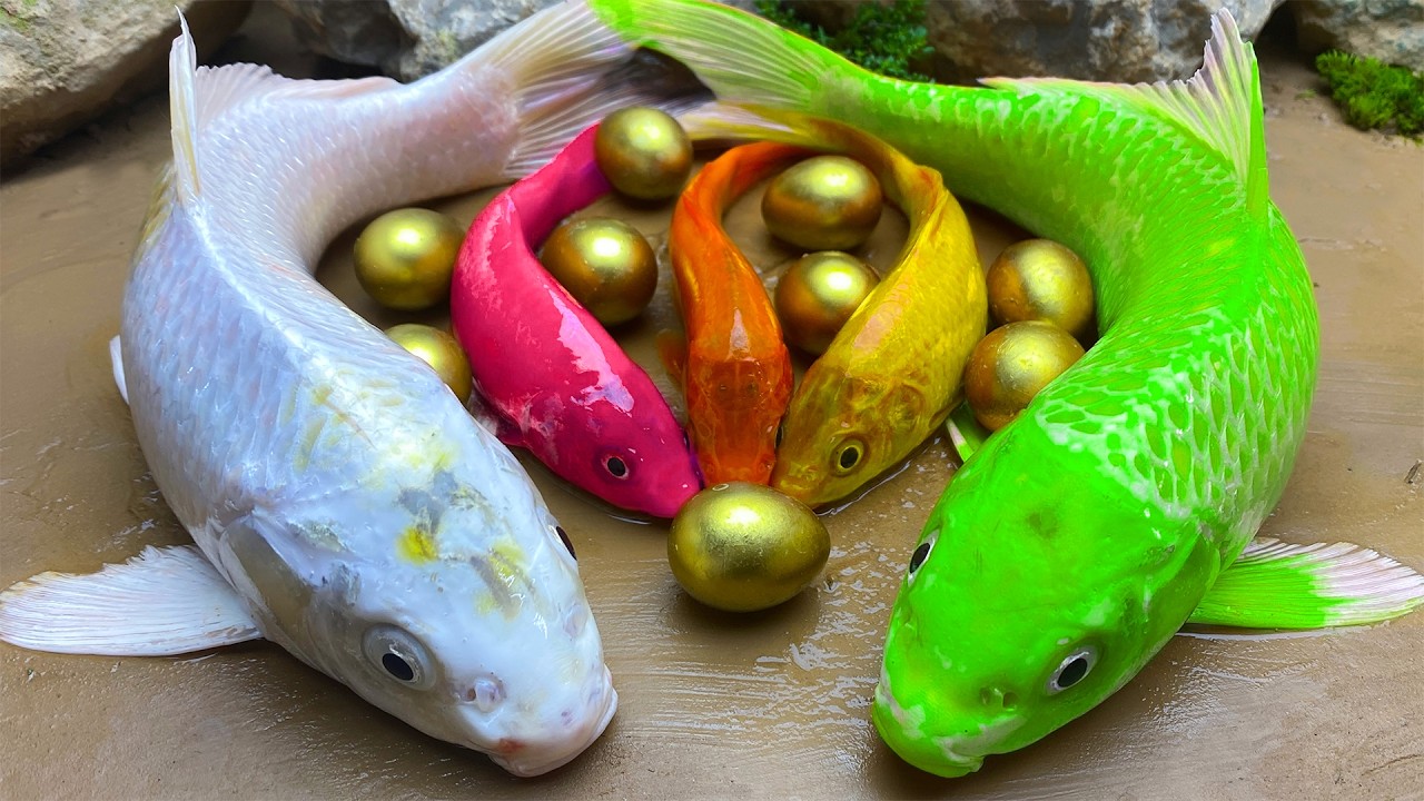 دعاء خاشع في اليوم التاسع من شهر رمضان المبارك دعاء خاشغ تهتز له القلوب - Doa Ramadan - علاء عقل