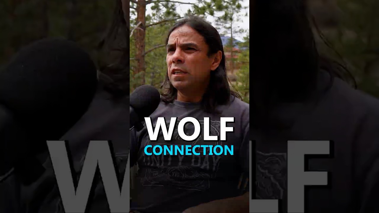 Ozzie Cabral of Cuetlachtepetl Wolf Mountain Education Center on why he runs a wolf sanctuary Ozzie Cabral of Cuetlachtepetl Wolf Mountain Education Center on why he runs a wolf sanctuary