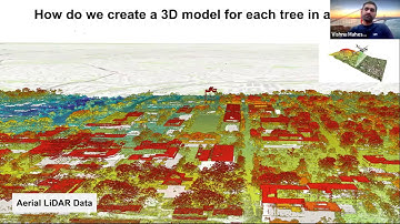 Modeling Trees with Deep Learning using Aerial LiDAR and Photos