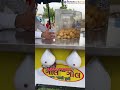 Panipuri Filling Machine | Automatic Panipuri Filling Machine | Street Food Business #shorts