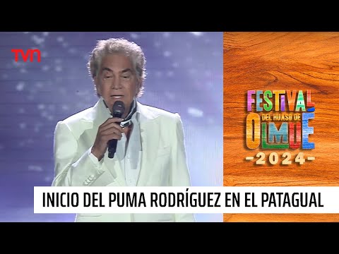 Con un rugido: Así fue la aparición del Puma Rodríguez en el Festival de Olmué