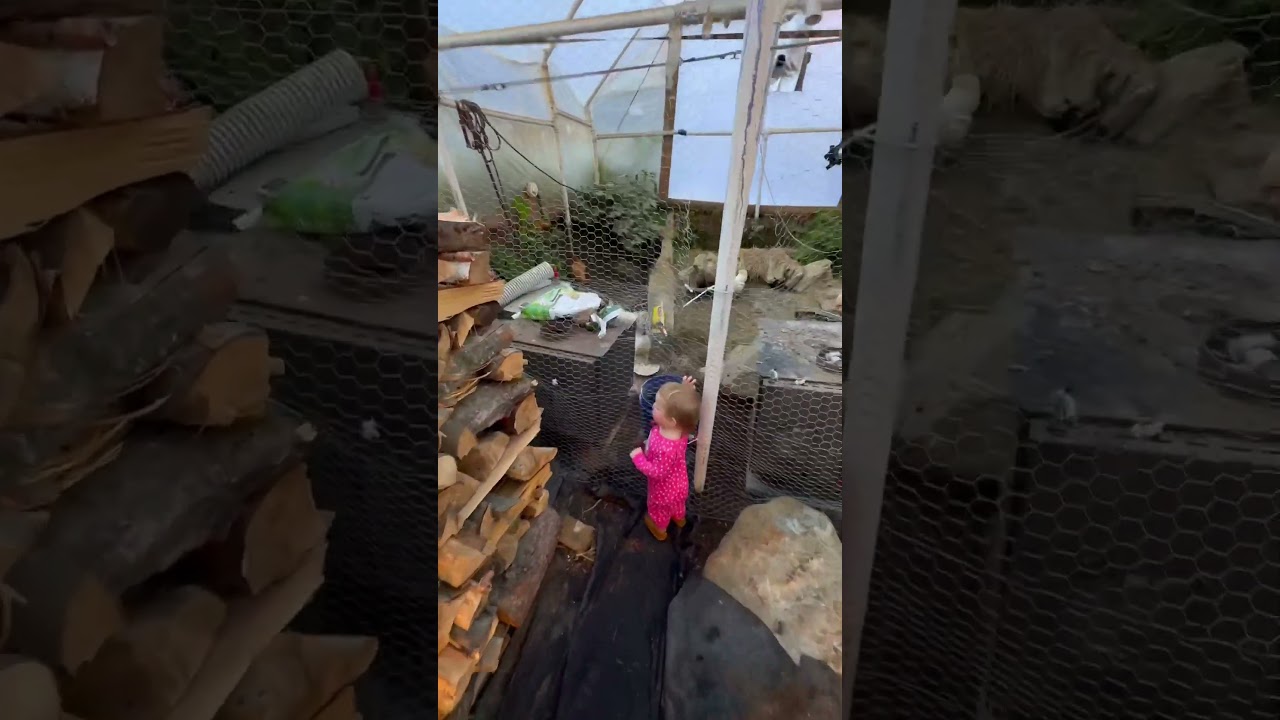 Полезный девайс для гровинга🥷 