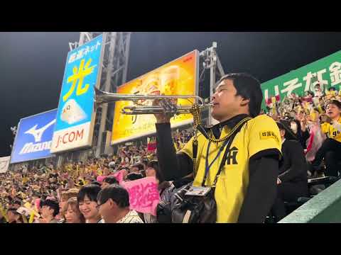 トランペット隊 阪神タイガース ライトスタンド応援風景 2023 11 2