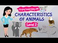 Predators Prey and Food Chains in the Animal Kingdom