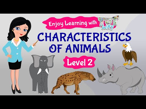 Predator and Prey For Kids: Characteristics of Animals | Tutway