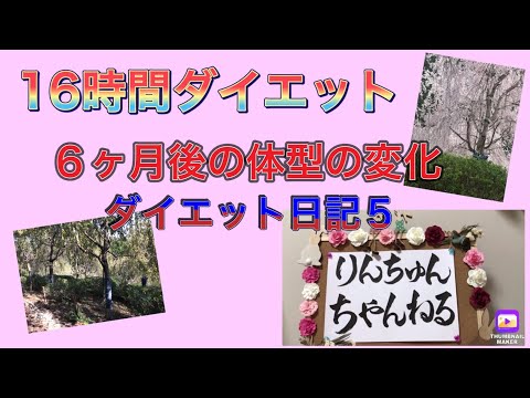 【ダイエット日記５】16時間ダイエットを始めて、６ヶ月後の私の後ろ姿！？