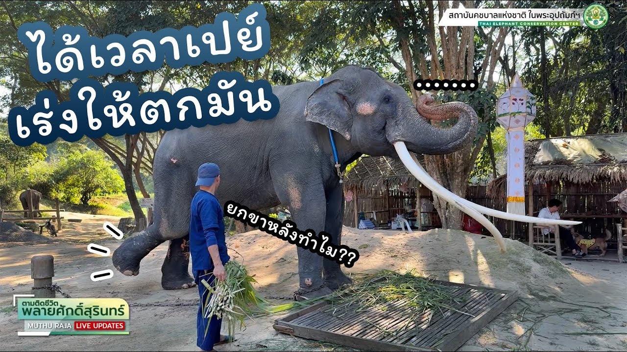 ตามติดชีวิต 