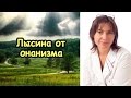 Лысина и другие трудности онанизма