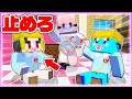🌈幼稚園の先生になって変態問題児を止めろ!! 【まいくら / マインクラフト】