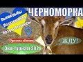 ЧЕРНОМОРКА 2021 Вылов рыбы! Козотерапия! ресторан "Козы и матросы" Эко-туризм в Одесской области!