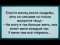 У Зятя Стерлось Хозяйство! Сборник Свежих Анекдотов! Юмор!