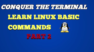 Conquer the Terminal: Learn Linux Basic Commands (Part 2)