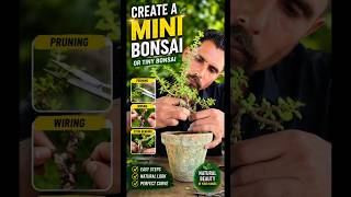 🌿 How to Create a Mini Bonsai from Jade Plant | Pruning, Wiring &amp; Stem Bending Tutorial