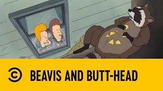 Robbing Raccoons | Beavis And Butt-Head