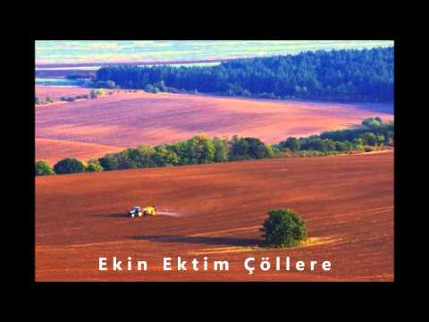 Ekin Ektim Çöllere