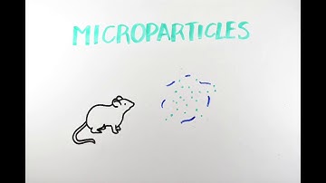 Micronutrient Microparticles