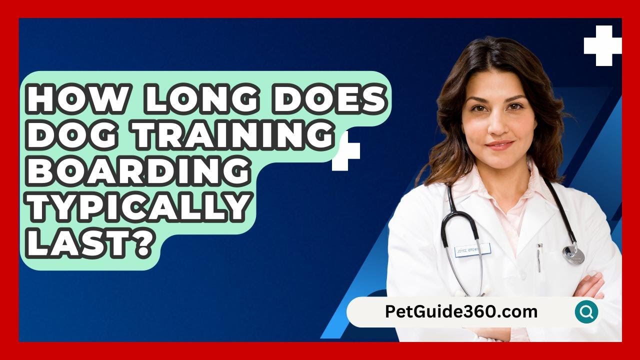How Long Does Dog Training Boarding Typically Last?