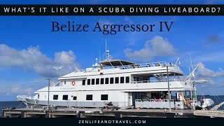 A Scuba Diving Liveaboard on Belize Aggressor IV