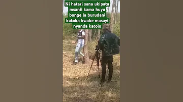 Masayi Nyanda Katolo 