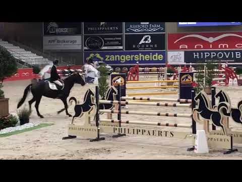 Don Corleone 111 135 CSIU25 Opglabbeek