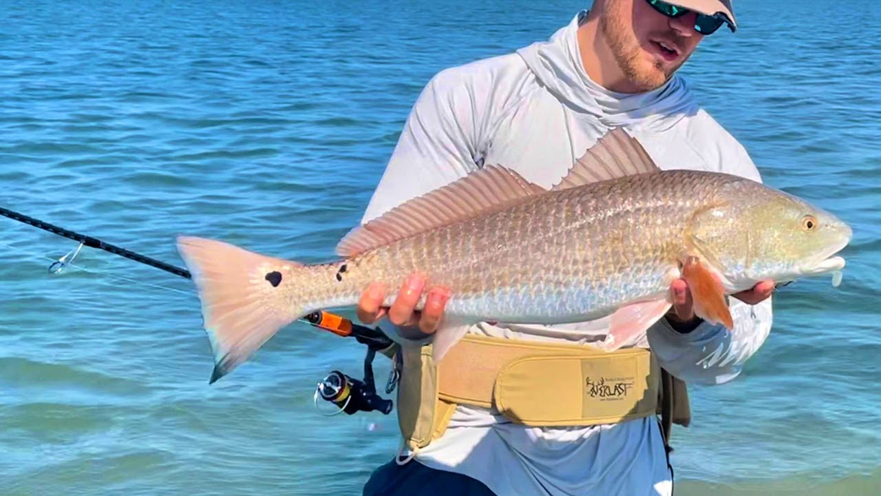 Wade Fishing Belt Review: ForEverLast G2 Wading Belt (Is this the best wade fishing belt?)