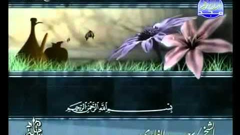 سورة نوح .شيخ سعد الغامدي