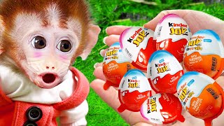 Monkey Baby so cute Bi Bon steals Crocodile's Kinder Joy Egg | Funny Animlas Home Monkey