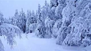 ** Tombe La Neige **    -    Paul Mauriat orchestra
